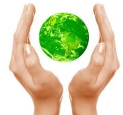Sua Empresa é Ecologicamente Correta?