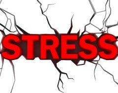 O que você faz para Evitar o Stress?