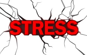 stress 1